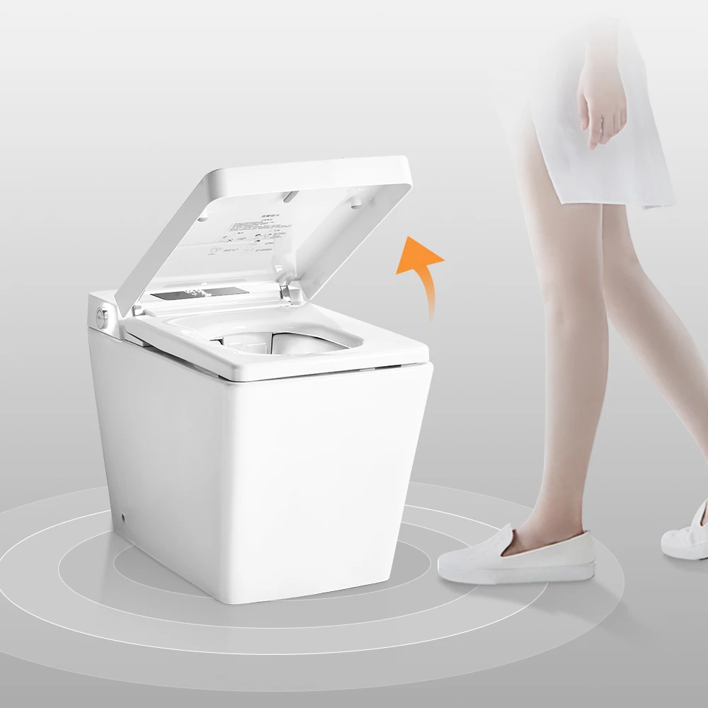 Watermark Tankless Wc Smart Bidet Intelligent Ceramic Toilet Electronic