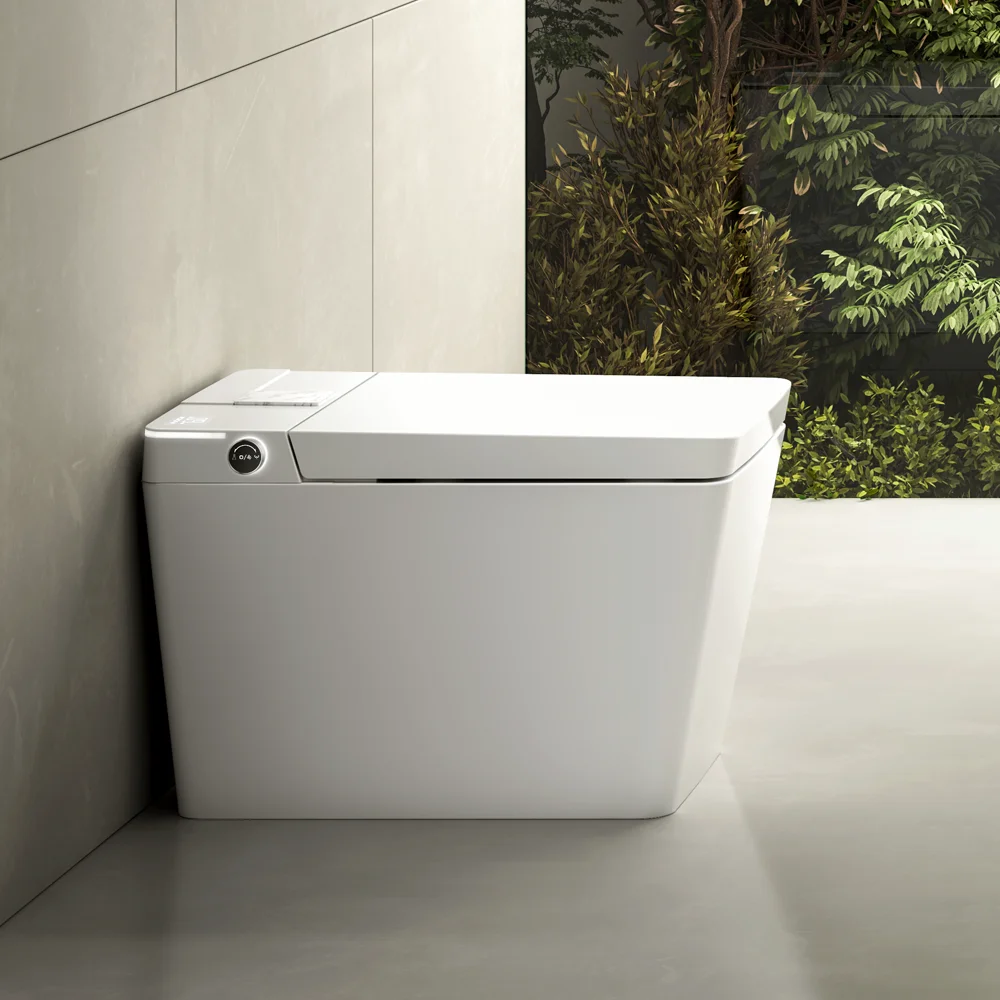 Watermark Tankless Wc Smart Bidet Intelligent Ceramic Toilet Electronic - Image 6